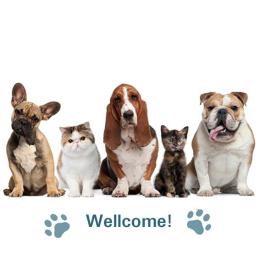 WELCOME FRIENDS ANIMALS : PET BED