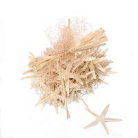 Sea Star 50Pcs